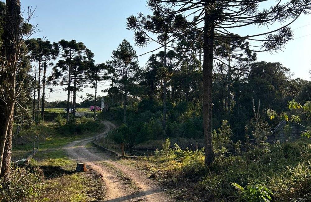 Terreno Tijucas do Sul