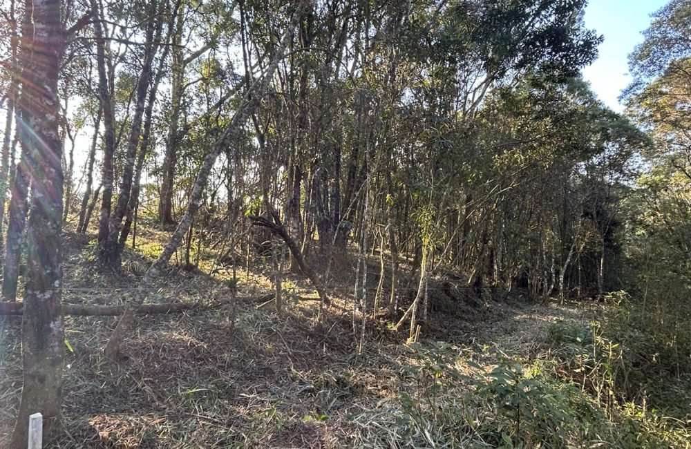 Terreno Tijucas do Sul
