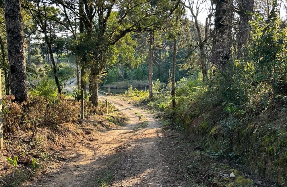 Terreno Tijucas do Sul