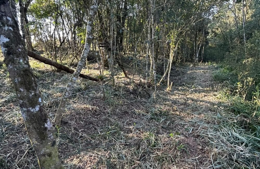 Terreno Tijucas do Sul