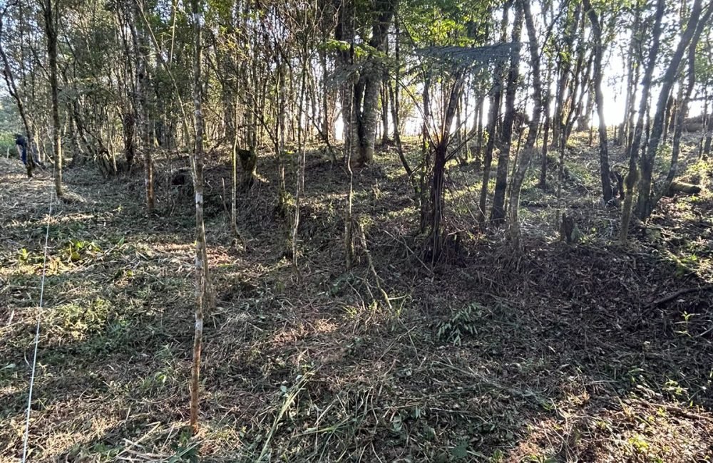 Terreno Tijucas do Sul